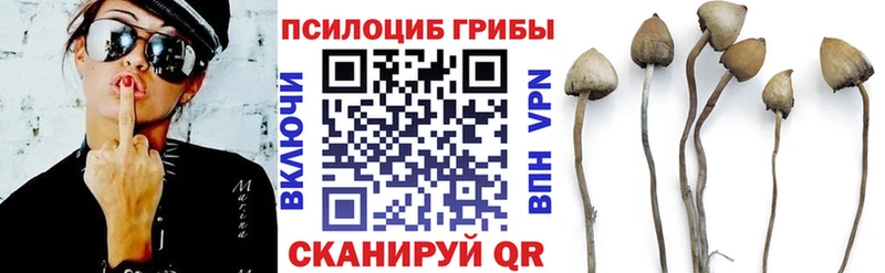Купить  Острогожск  Галлюциногенные грибы прущие грибы 